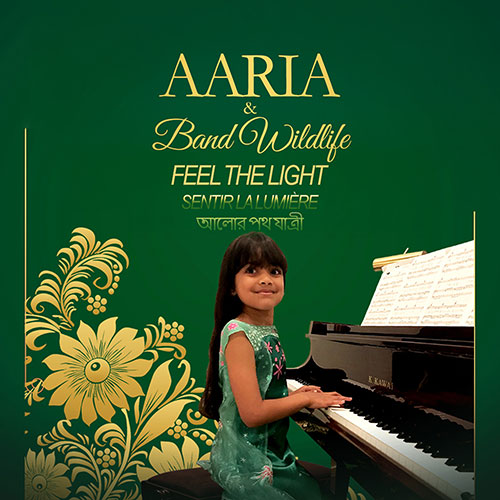 Aaria & Band Wildlife - Feel The Light